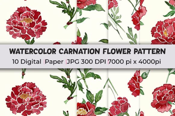 Download Carnation Flower Patterns Watercolor - Flower Collection
