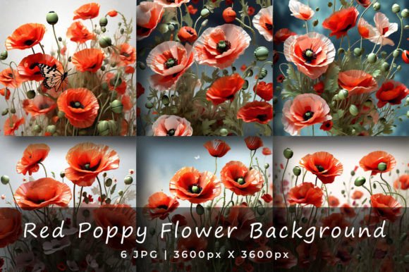 Download Red Poppy Flower Backgrounds - Flower Collection
