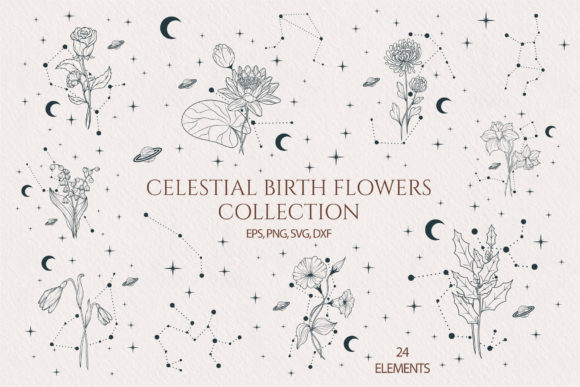Download Hand Drawn Celestial Birth Month Flowers - Flower Collection
