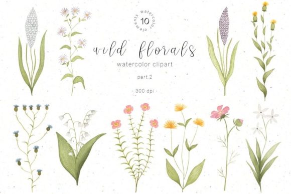 Download Watercolor Wildflower Botanical Clipart - Flower Collection