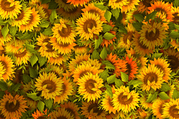 Download Sunflower Pattern High Quality - Flower Collection