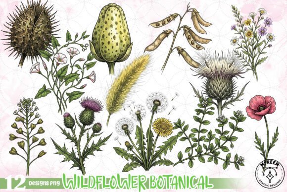 Download Wildflower Botanical Clipart PNG - Flower Collection
